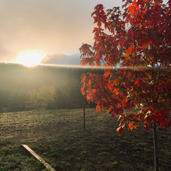 Meet your Posher, April - Picture 3 of 5